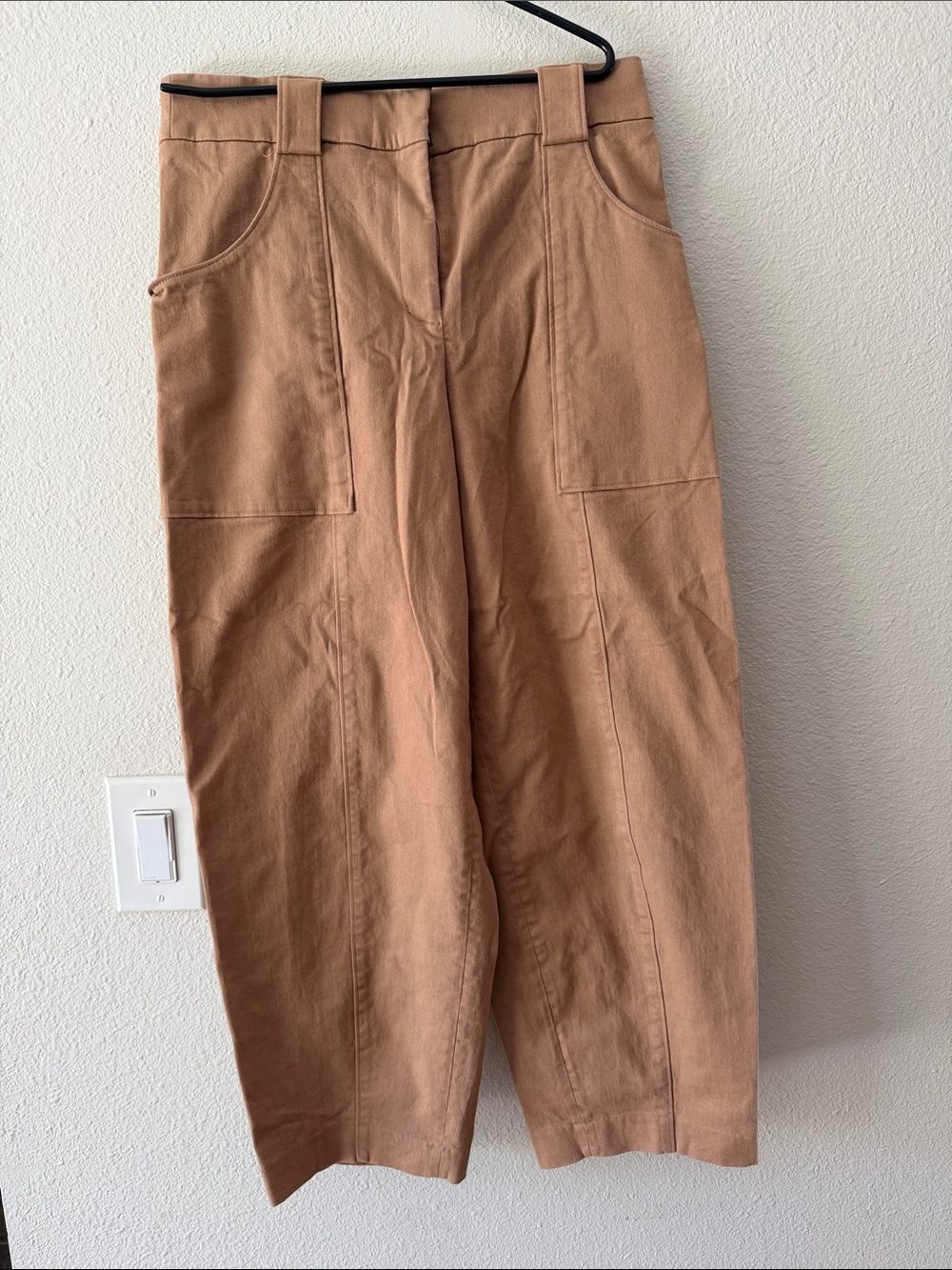 Express Barrel Style Wide Leg Pant — Camel/Tan